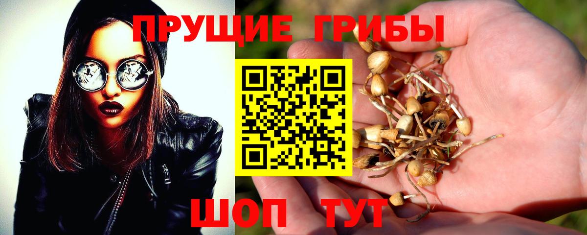 Псилоцибиновые грибы GOLDEN TEACHER  Галлюциногенные грибы ЛСД  закладки  Вход с VPN  Златоуст 
